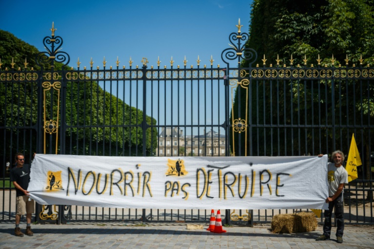 Mobilisation contre la loi Duplomb, devant le Sénat, à Paris, le 30 juin 2025 ( AFP / Dimitar DILKOFF )
