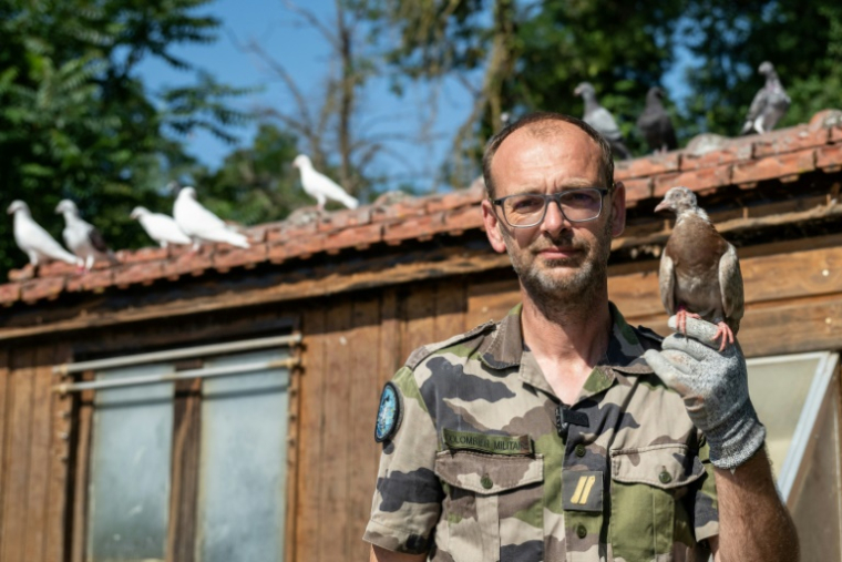 Le maréchal des logis Sylvain du 8e régiment de transmissions de l'armée française, tient un pigeon devant le colombier militaire du Mont-Valérien à Suresne, près de Paris, le 1er juillet 2025 ( AFP / BERTRAND GUAY )