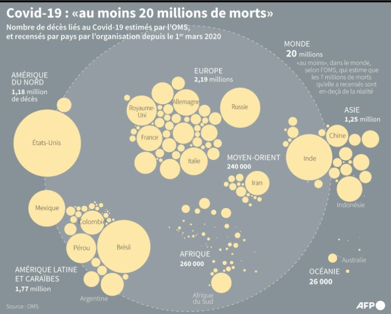 Nombre de décès recensés liés au Covid-19 recensés par l'OMS depuis le début de la pandémie, par continent ( AFP / Valentin RAKOVSKY )