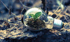 L'ESG monte en puissance dans les Assemblées Générales. En 2022, les entreprises évaluées par l'ICR ont accordé en moyenne 17% de leur temps de présentation aux sujets environnementaux, sociaux et de gouvernance. (Crédits photo : Pexels - Singkham )