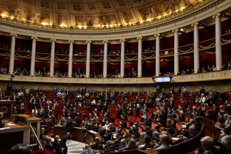 Séance à l'Assemblée nationale, le 11 février 2025 à Paris ( AFP / Thibaud MORITZ )