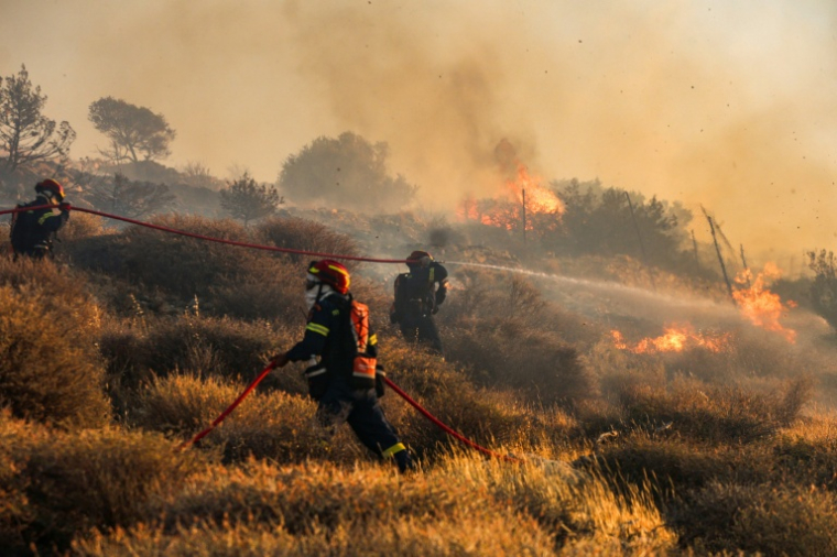 Des pompiers luttent contre le feu près de Ierapetra sur l'île grecque de Crète, le 3 juillet 2025 ( AFP / Costas Metaxakis )